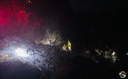 Incêndio em vegetação mobiliza bombeiros de Itapiranga