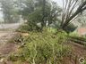 FOTOS: Temporal causa diversos prejuízos e transtornos em Itapiranga