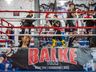 CT Balke Team realizará em junho a Copa Oeste Open Boxe