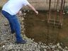 Em fiscalização dos agentes da dengue mais um foco é encontrado em SJCedro