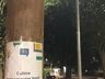 OUÇA: Leo Clube realiza campanha em São Miguel do Oeste