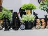 Com amplo espaço, Maxima decor inaugura em São Miguel do Oeste