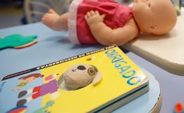 Governo de SC cria cadastro com nomes e fotos de estupradores e pedófilos condenados