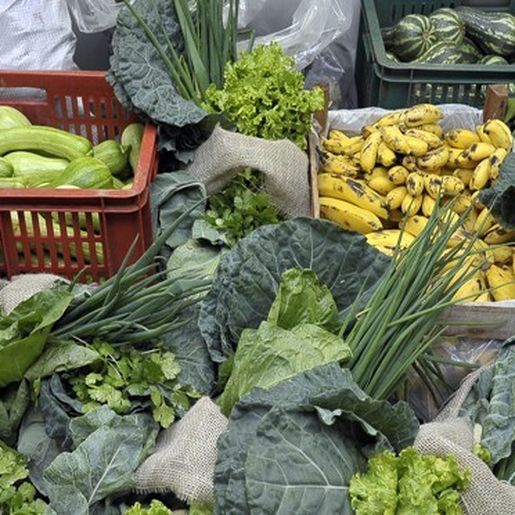 Barra Bonita abre chamada pública para compra de alimentos da agricultura familiar