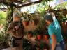 PM reforça combate aos focos do mosquito da dengue em São Miguel