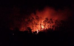Bombeiros combatem mais um incêndio em mata por mais de 11 horas