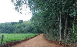  Setor de obras de Tunápolis intensifica trabalhos de melhorias em estradas no interior