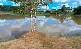 Lago municipal está sendo revitalizado em São José do Cedro