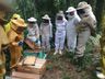 Encontro aborda o melhoramento genético de abelhas em Iporã do Oeste