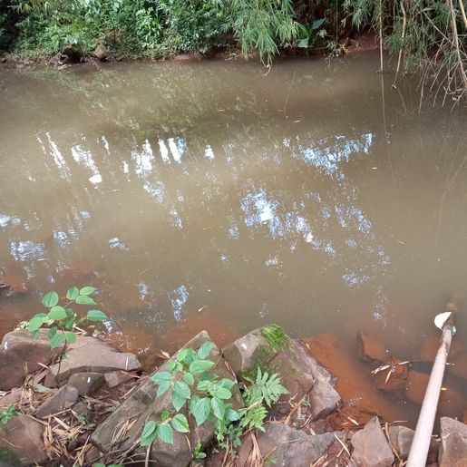 Poluição em rio pode causar falta de água em São João do Oeste
