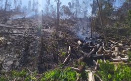 Bombeiros levam cerca de três horas para combater incêndio em vegetação 