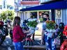 Floriculturas de SMOeste registraram falta de flores para Finados 