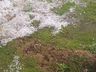 VÍDEO: chuva de granizo é registrado no interior de Palma Sola