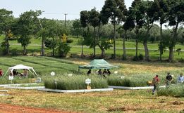 Cedup Campo Erê realiza tradicional Dia de Campo 