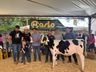 Julgamento do gado leiteiro e rodada de negócios movimentam o sábado na Expo Campo Erê