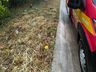 Caminhonete capota após sair da pista e colidir com árvore em Guaraciaba