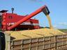 Cerca de 35% dos 90 mil hectares de soja plantados na região já foram colhidos