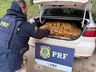 PRF apreende mais de 350 quilos de maconha em duas ocorrências no Oeste