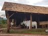 Centro Histórico Germânico de Itapiranga recebe reconhecimento do Ministério da Cultura 