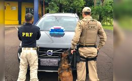 PRF e PM apreendem camioneta de luxo com 17kg de cloridrato de cocaína