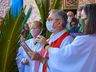 Domingo de Ramos: Padre Ivo convida fiéis a “olhar à humildade de Jesus”