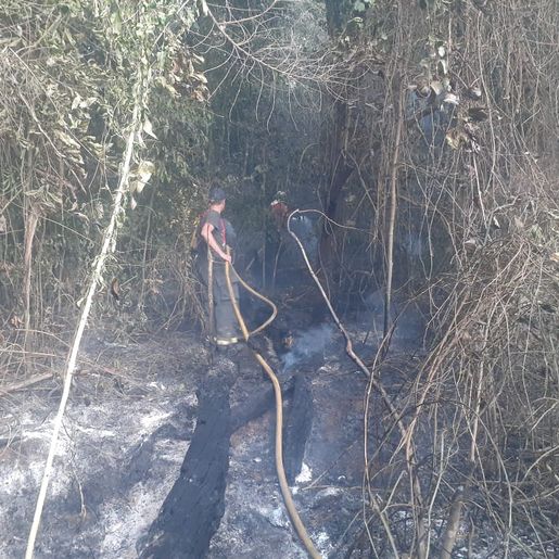 Bombeiros combatem dois incêndios em vegetação no interior 