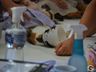 Mutirão de castração em Paraíso atende mais de 160 animais