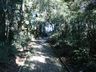 Parque Augusta Crestani tem novo zelador