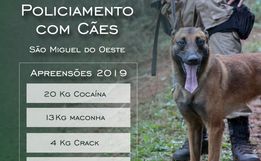 Policiamento com cães resulta na apreensão de quase 40 quilos de drogas em 2019