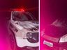 Cavalo foge, invade rodovia e morre ao ser atropelado 2 vezes seguidas em SC
