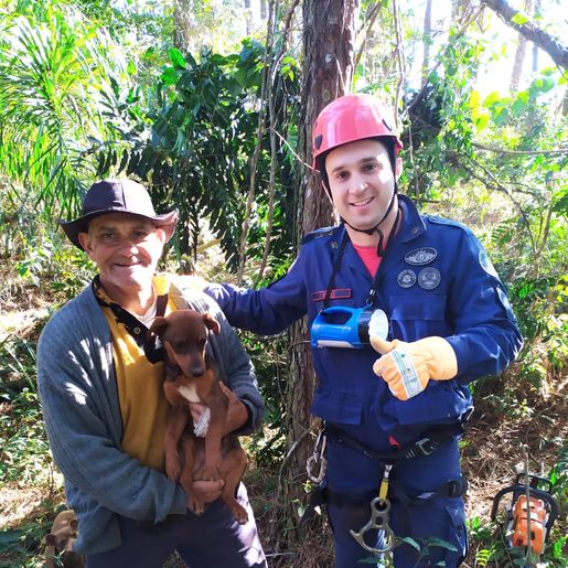 Cão desaparecido é encontrado em poço de 15 metros 