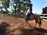 VÍDEO: Relação entre humanos e cavalos traz benefícios para o corpo e mente 