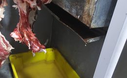 Mais de 1 tonelada de alimentos impróprios é apreendida em fiscalização em Descanso