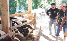 Polícia Civil investiga compra irregular de bovinos em Iraceminha