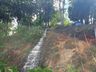 Novas atrações geram roteiros turísticos alternativos em Itapiranga