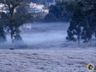 Outono trará primeiras massas de ar frio a Santa Catarina em 2022