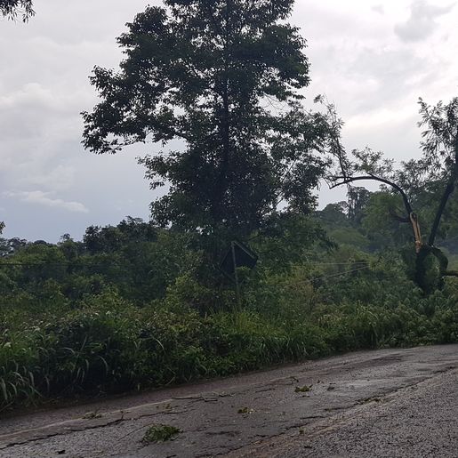 Temporal causa estragos em Itapiranga 