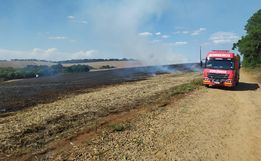 Incêndio em vegetação destrói cerca de 60 hectares de lavoura