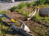 Condutor de Porsche abandona veículo e dinheiro após acidente