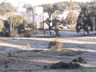 FOTOS: Internautas registram geada em São Miguel do Oeste