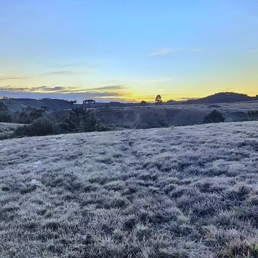 SC amanhece com formação de geada e temperatura mínima abaixo de -2ºC