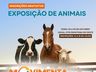 Aberto edital para expositores de animais na 1ª Feira Movimenta Guaraciaba