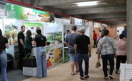 Feira da Agricultura Familiar da Faismo terá 40 expositores neste ano