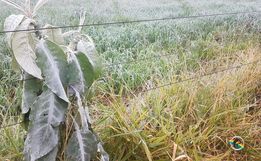 Município registra dia mais frio do ano