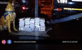 PRF e Polícia Civil prendem homem e apreendem mais de 44 kg de cocaína na região 