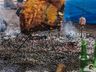 São Miguel Tchê teve público de cerca de 10 mil pessoas; fotos