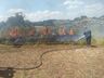 Bombeiros combatem incêndio em vegetação em SJCedro