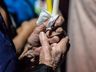 Vigília Pascal leva fiéis para Igreja Matriz em São Miguel do Oeste; fotos