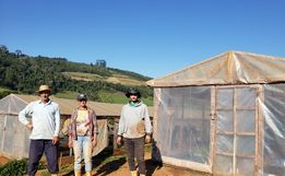Produtores de Iporã do Oeste relatam satisfação na produção de tabaco há quase 20 anos