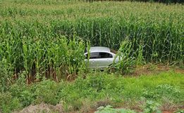 Carro entra em milharal e PRF apreende maconha após perseguição na BR-282